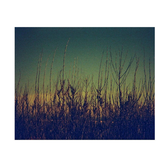 Lomochrome Lobster Redscale 110 ISO 200