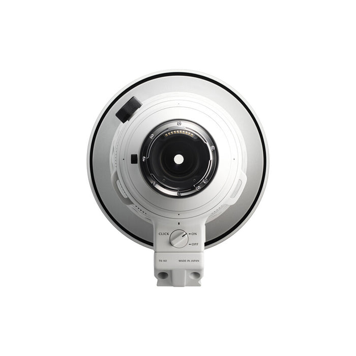 Sigma 300-600mm F4 DG OS SPORT (Per Sony E) retro