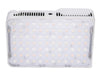 amaran Ace 25c Kit White