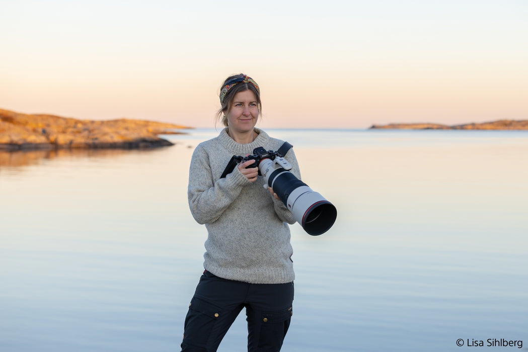 Sony FE 100-400mm F4.5GM OSS ( SEL100400MCW )