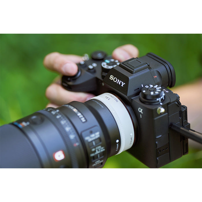 SEL100M28GMB-fotoscattata3