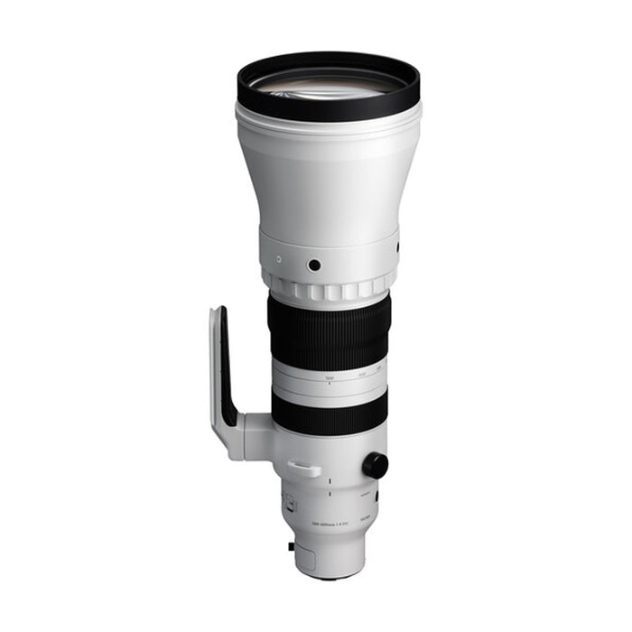 Sigma 300-600mm f/4 DG OS Sport (L-Mount) alto