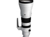 Sigma 300-600mm F4 DG OS SPORT (Per Sony E) alto