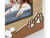 zep-marley-cornice-10x15-dettaglio-zampetta
