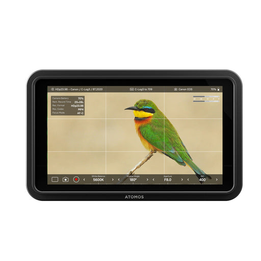 Atomos Shinobi II - LCD 5’’