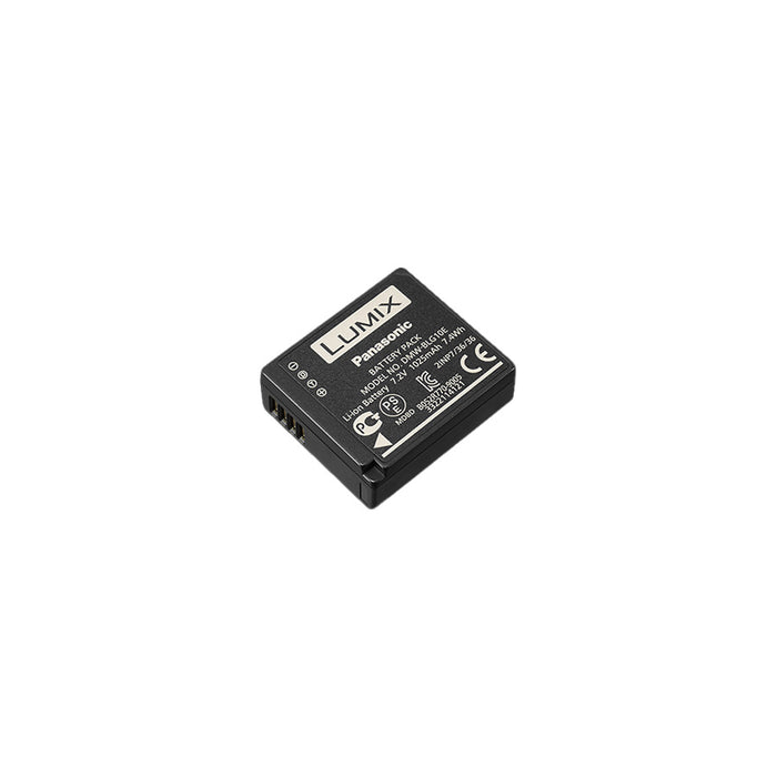 Panasonic batteria DMW-BLG10