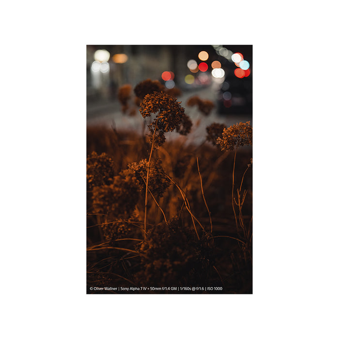 Sony FE 50mm F1.4 GM (SEL50F14GM) - Garanzia Sony Italia