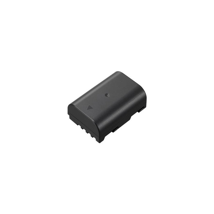 Panasonic batteria DMW-BLF19E